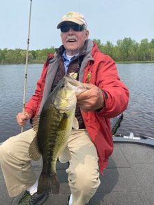 Light tackle tactics meet hefty Largemouth Bass